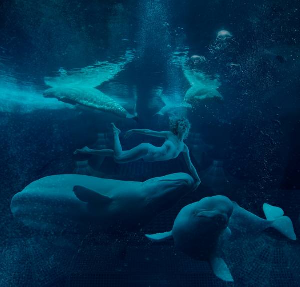 Photograph Elena Vizerskaya Underwater Dreams on One Eyeland